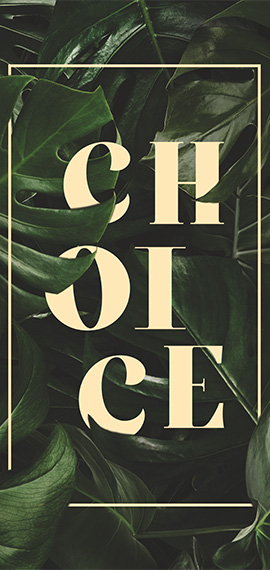 aphotic