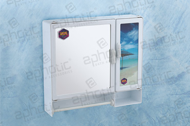 Cabinet Mirror